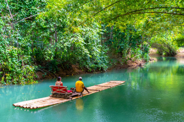 rafting de bambú en el río martha brae, jamaica - tropical rainforest jamaica tropical climate rainforest fotografías e imágenes de stock