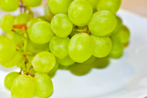 istock Green ripe grapes macrophotography on a white background 1251003062