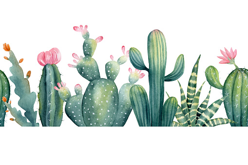 Watercolor hand painted seamless border of cactus with pink flower. Clipart illustration of houseplant succulent for design background, web template, digital paper, home decor, botanical print.