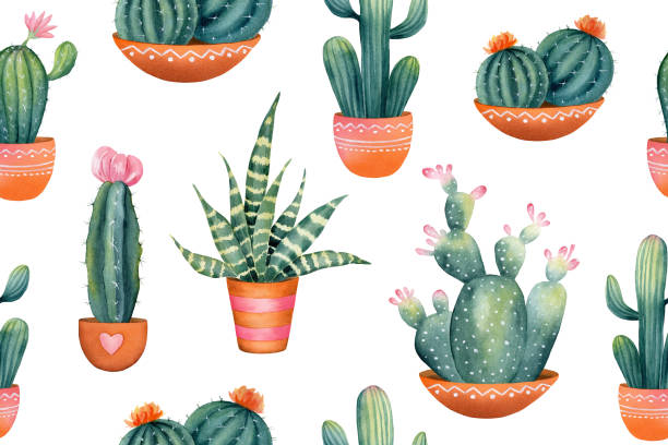 ilustraciones, imágenes clip art, dibujos animados e iconos de stock de patrón de cactus sin costura pintado a mano de acuarela con flor rosa en maceta de barro. ilustración de imágenes prediseñadas de la planta de la casa suculenta para el fondo del diseño, plantilla web, papel digital, decoración del hogar, impresión  - mexican culture backgrounds clay frame