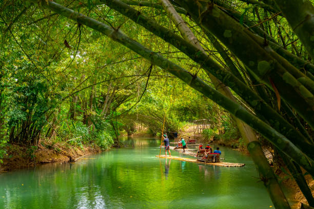 tourists on bamboo rafts along martha brae river, jamaica - tropical rainforest jamaica tropical climate rainforest imagens e fotografias de stock