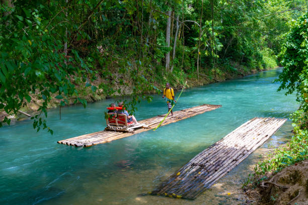 tourists rafting on martha brae river, jamaica - tropical rainforest jamaica tropical climate rainforest imagens e fotografias de stock