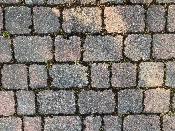 istock Cobblestones with the moss growing between the cobbles 1251004919