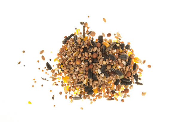 Variation of bird seeds seen from above isolated on a white background