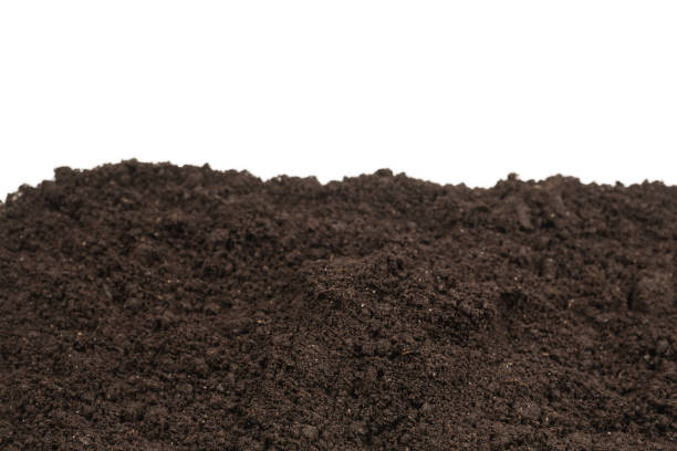istock Black land for plant background. 1251006690
