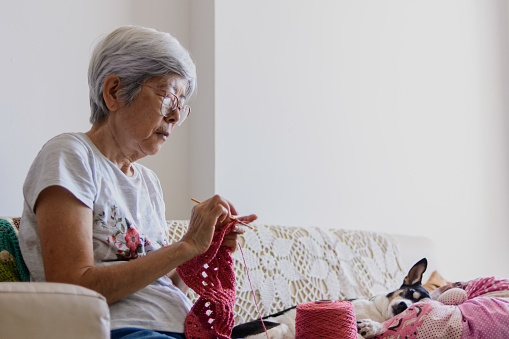 Senior woman doing crochet at home next to her lazy dog