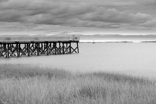Jetty on Calf Pasture Beach Connecticut under overcast sky in moody monochrome.