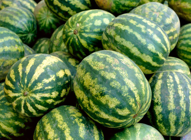 Watermelons in grocery store