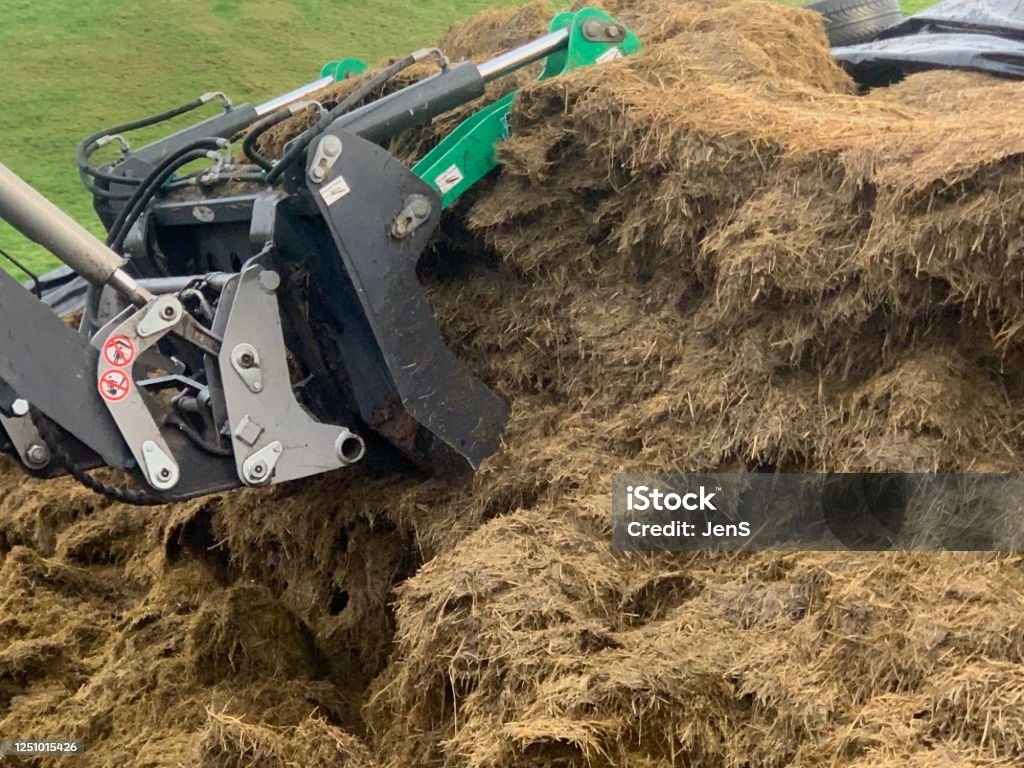 Open Silage Stack Loading Silage Stock Photo - Download Image Now - Agricultural Activity ...