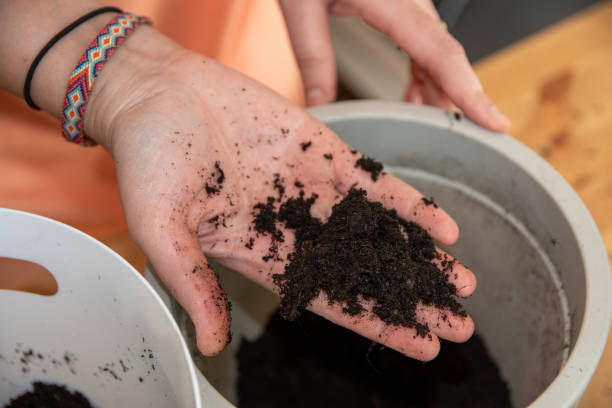 istock Holding potting loam with bare hand 1251017420