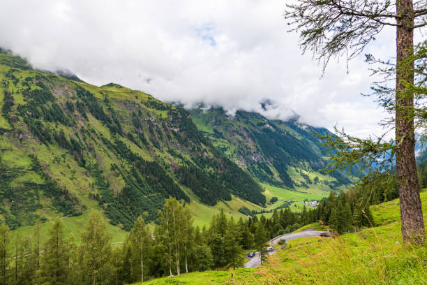 istock View from the height on the mountains chain covered with the forest 1251019766