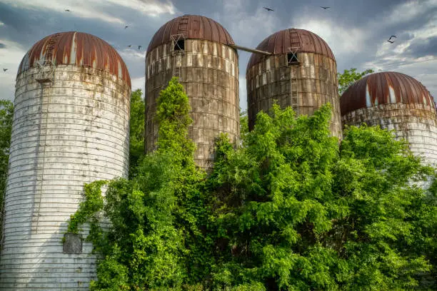 Photo of grain Silos