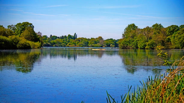 Fishing lake at Coombe Abbey