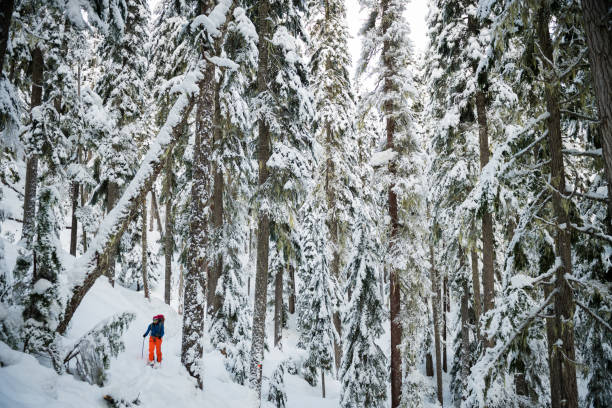 istock Male Backcountry Ski Touring 1251020677