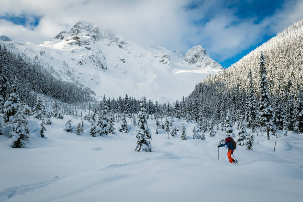 istock Male Backcountry Ski Touring 1251020678
