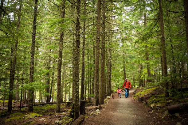 istock Father and daughter hiking in the forest 1251021279
