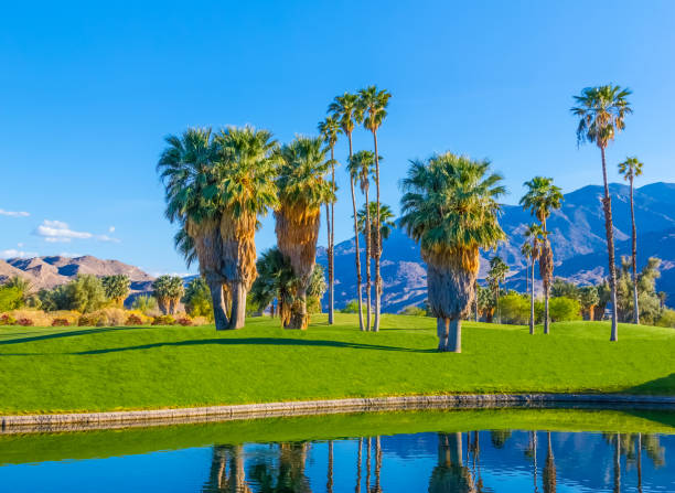 istock Springtime green belt at Palm Springs California 1251021287