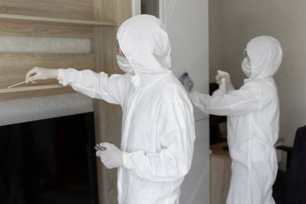 Virologists, people in protective suits carry out the disinfection in the apartment. Wipe furniture and take samples for contamination from the surface during a coronavirus epidemic. Covid - 19 Virologists, people in protective suits carry out the disinfection in the apartment. Wipe furniture and take samples for contamination from the surface during a coronavirus epidemic. Covid - 19. biohazard cleanup stock pictures, royalty-free photos & images