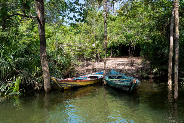 Canoes on the banks of the Tapajós River stock photo