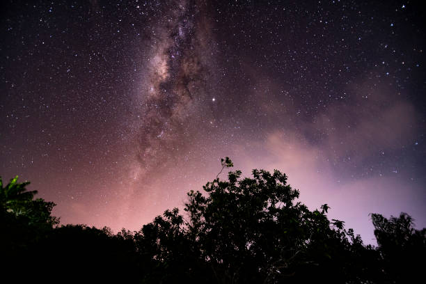 Milky Way seen in alter do chão region stock photo