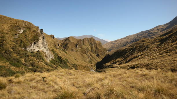 istock saddle view motatapu track of Te Araroa 1251031730