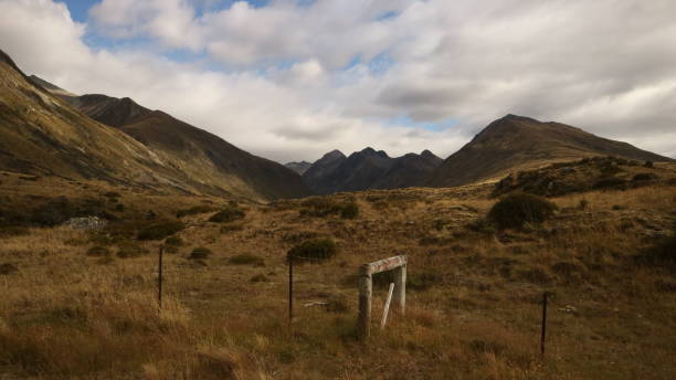 istock Mavora lake walk way gold grass and mountain 1251031737