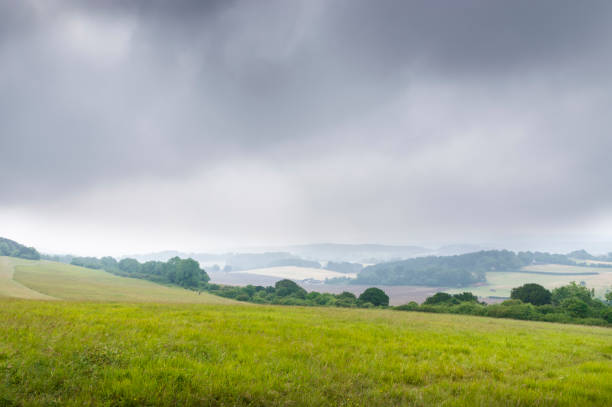 The view of Albury Downs looking south-east from west of Newland’s Corner