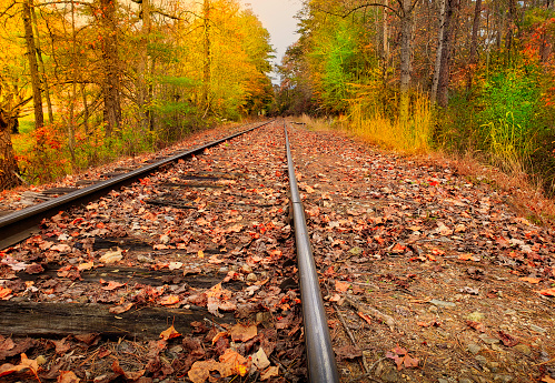 Railroad Tracks on an Autumn Day in the Appalachian Mountains  - Fallen Leaves - Sunlight from top left - copy space