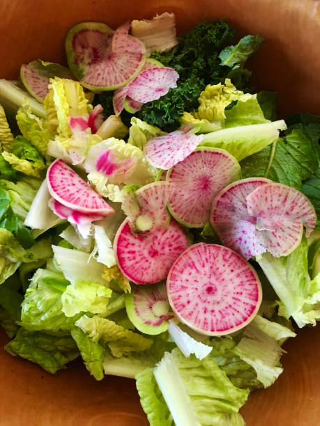 istock Green salad with watermelon radish 1251042030