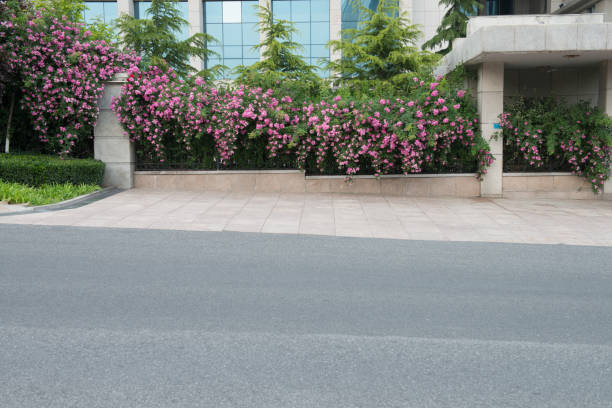 This is a a wide angle photograph of flowers growing alongside the sidewalk in a residential neighborhood of Brooklyn on a sunny day.
