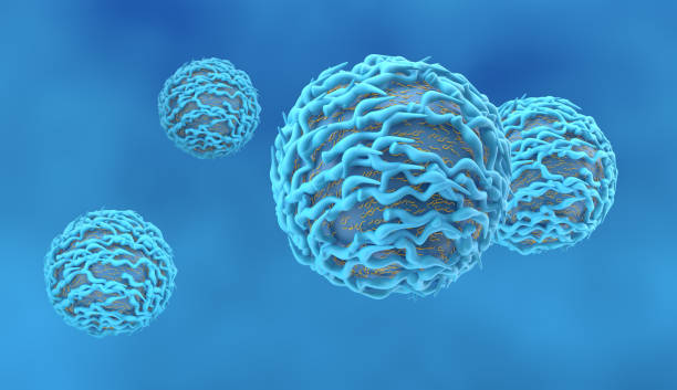 istock T-cell, Lymphocyte produced by the thymus gland 1251060995