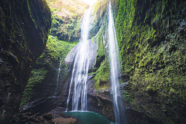 istock Jungle waterfall cascade in tropical rainforest. Waterfall In Jungle ,Bali ,indonesia 1251065032