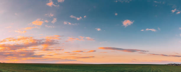 istock Spring Sunset Sky Above Countryside Rural Meadow Landscape. Wheat Field Under Sunny Spring Sky. Skyline. Agricultural Landscape With Growing Green Young Wheat Shoots, Wheat Germs 1251065816