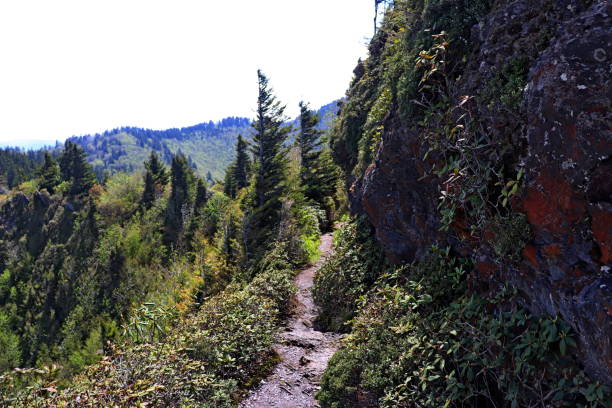 die ansichten von charlies bunion, great smoky mountains nationalpark. - mountain mountain range north carolina blue stock-fotos und bilder