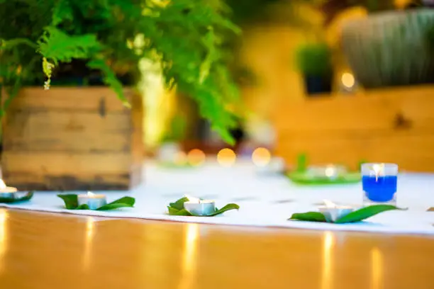 Candle decoration on the wood floow with flower fern and tree on white circle in the middle of woodfloor center inside the hall.