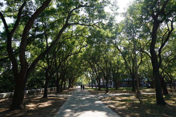 Taichung, Taiwan - 4 November 2018: Landscape of the garden in Tunghai University.