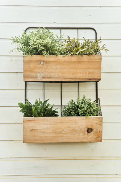 istock Decorative wooden boxes with flowers on a white wall close-up 1251081527