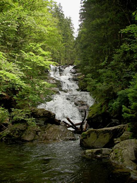 istock Waterfall at the great Arber in the Bavarian forest 1251084700