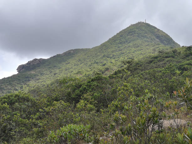 istock Mount Nicholson, Hong Kong 1251084937