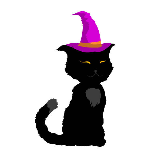 ilustrações, clipart, desenhos animados e ícones de silhueta de gato preto com gato bruxo. um dos símbolos de halloween. ilustração vetorial. - silhouette animal black domestic cat