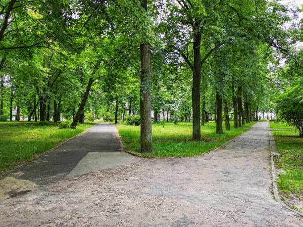 istock Long concrete paths in park between lamps and trees 1251091283