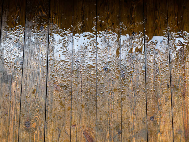 istock wet wooden floor after rain 1251095806
