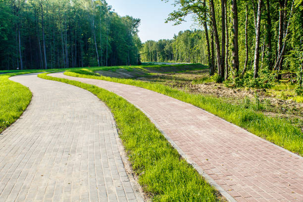 istock new modern road through the forest 1251096534