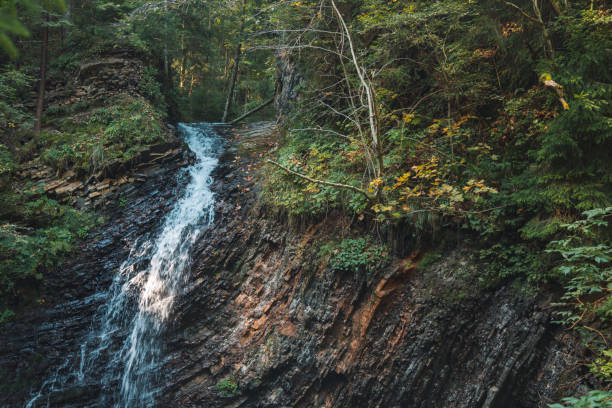 istock small waterfall forest summer landscape nature photography 1251099080