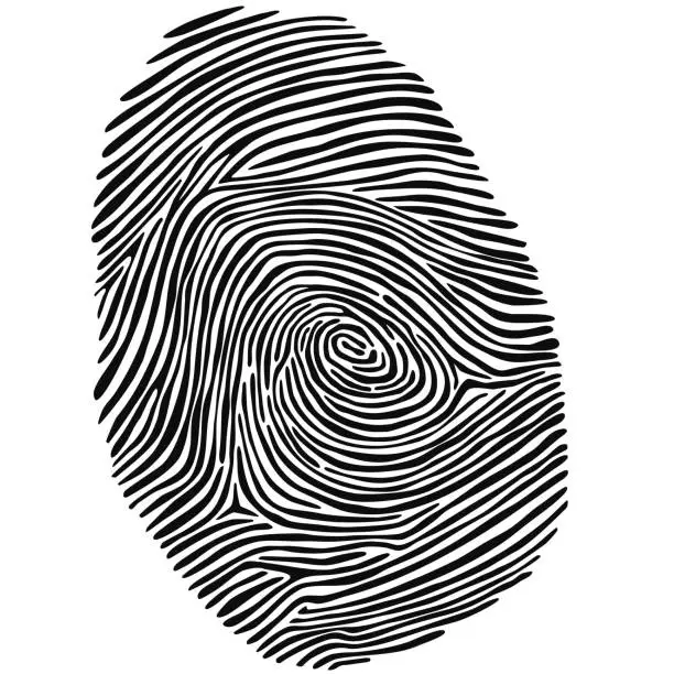 Vector illustration of Fingerprint vector data in black and white