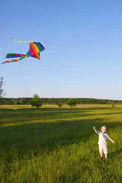 istock Little boy holds a kite on a green meadow. 1251100957