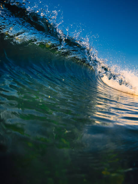 istock Barrel wave in ocean with sunrise tones and beach at background 1251109437