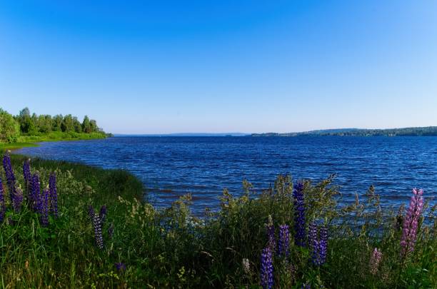 istock Scenes around Lake Siljan 1251113387