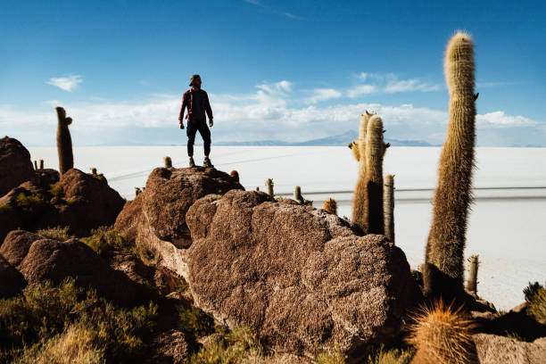This panoramic landscape is an very high resolution multi-frame composite and is suitable for large scale printing. Afternoon view of Salar de Uyuni, Altiplano BoliviaSalar de Uyuni (or Salar de Tunupa) is the world's largest salt flat at 10,582 square kilometers (4,086 sq mi). It is located  in the Potosi and Oruro departments in southwest Bolivia, near the crest of the Andes, and is elevated 3,656 meters above the mean sea level.