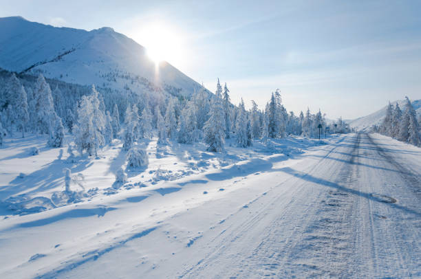 paisaje panorámico de madera de invierno en la carretera de kolyma (carretera de los huesos) - república de sakha fotografías e imágenes de stock